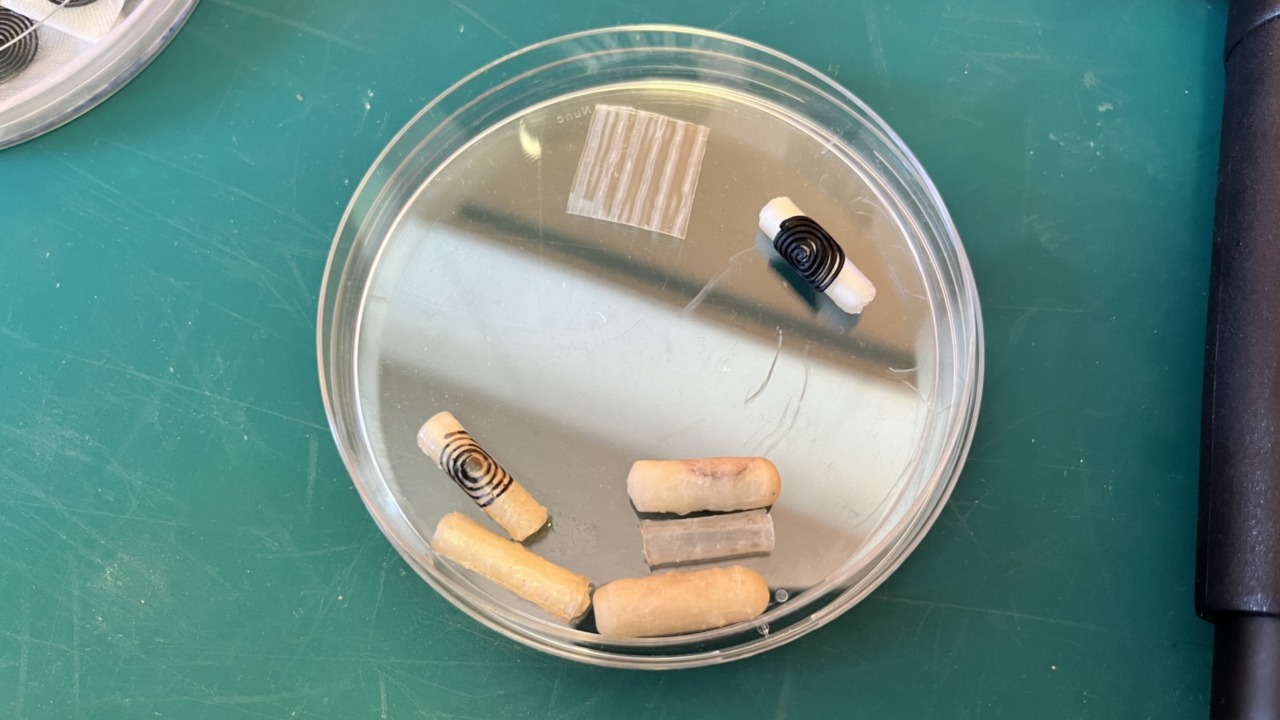 Capsula intelligente per guarire le ulcere dell’intestino