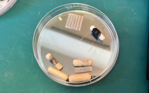 Capsula intelligente per guarire le ulcere dell’intestino