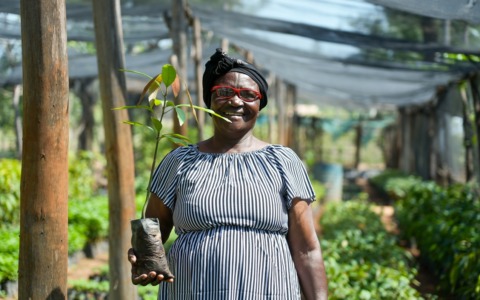 Treedom e Fondazione AIRC di nuovo insieme per piantare alberi