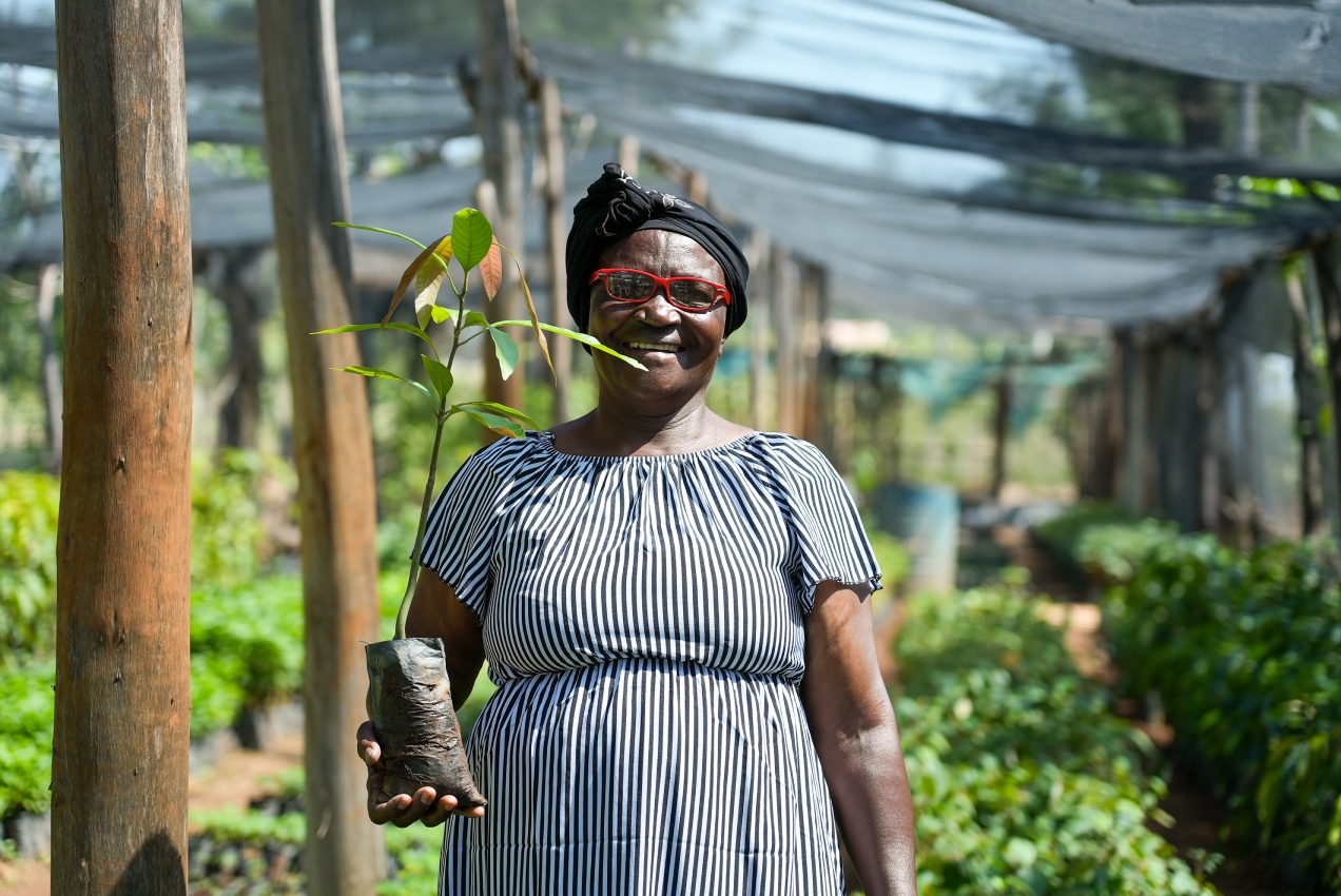 Treedom e Fondazione AIRC di nuovo insieme per piantare alberi