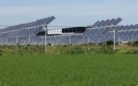 Cia Siena esprime parere negativo sul progetto agrivoltaico di Rosia: timori per il tessuto economico locale