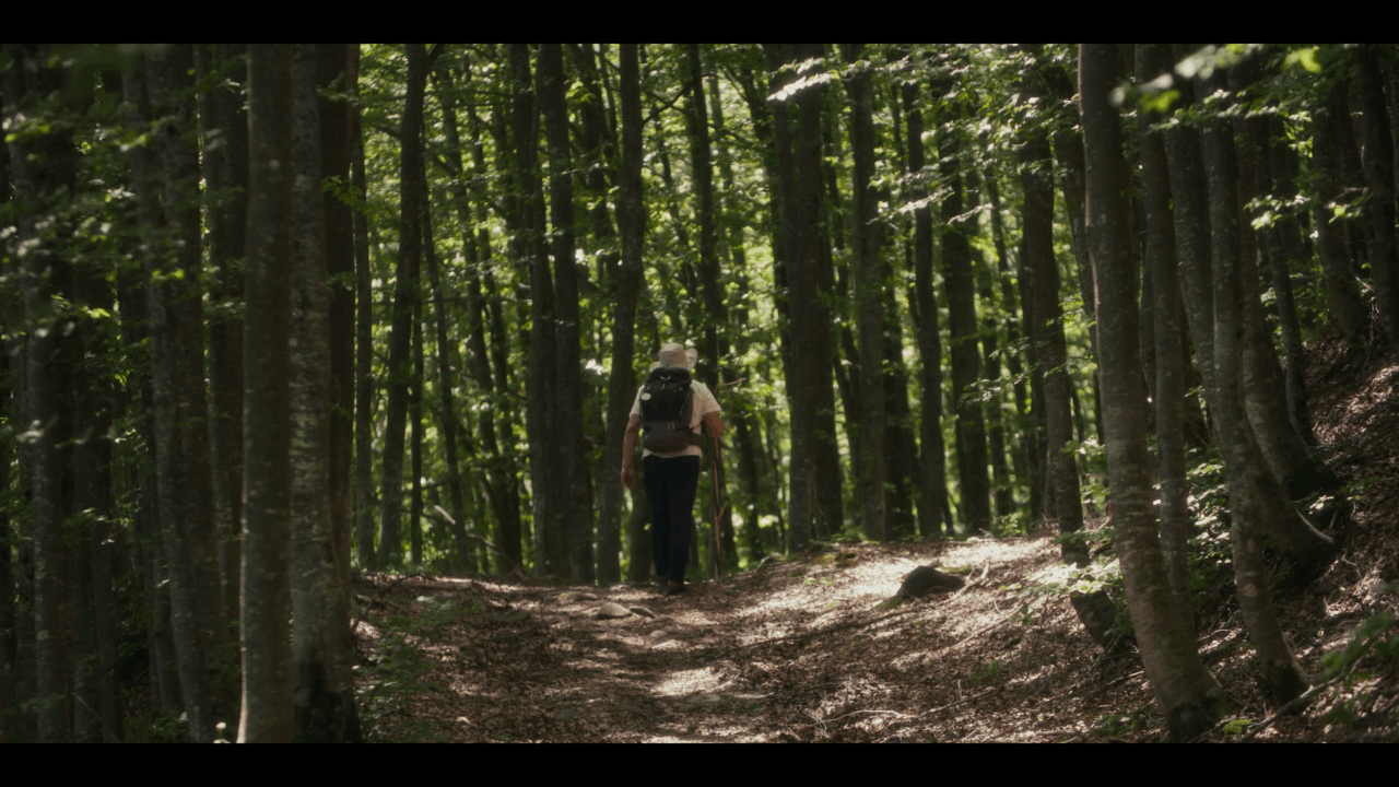 Lucca, il docufilm interamente dedicato alla via Vandelli