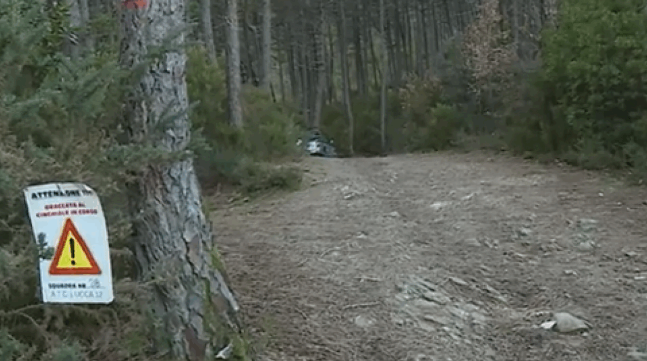 Incidente di caccia: 80enne muore colpito da una fucilata
