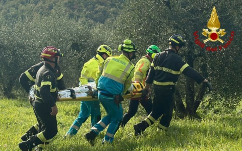 Cade da un olivo in zona impervia, salvato dai pompieri