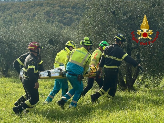 Cade da un olivo in zona impervia, salvato dai pompieri