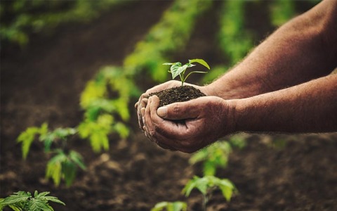 L45 Agri: un nuovo slancio per l’agricoltura aretina