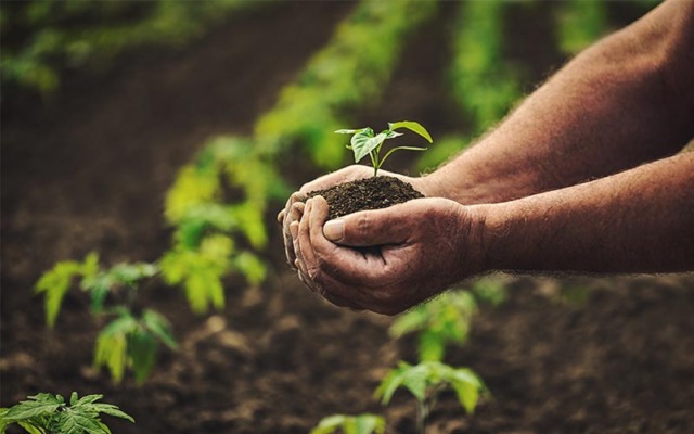 L45 Agri: un nuovo slancio per l’agricoltura aretina