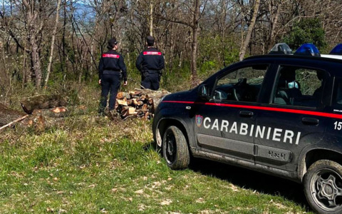 Droga, sequestro hashish per 500 dosi in bosco Piancastagnaio