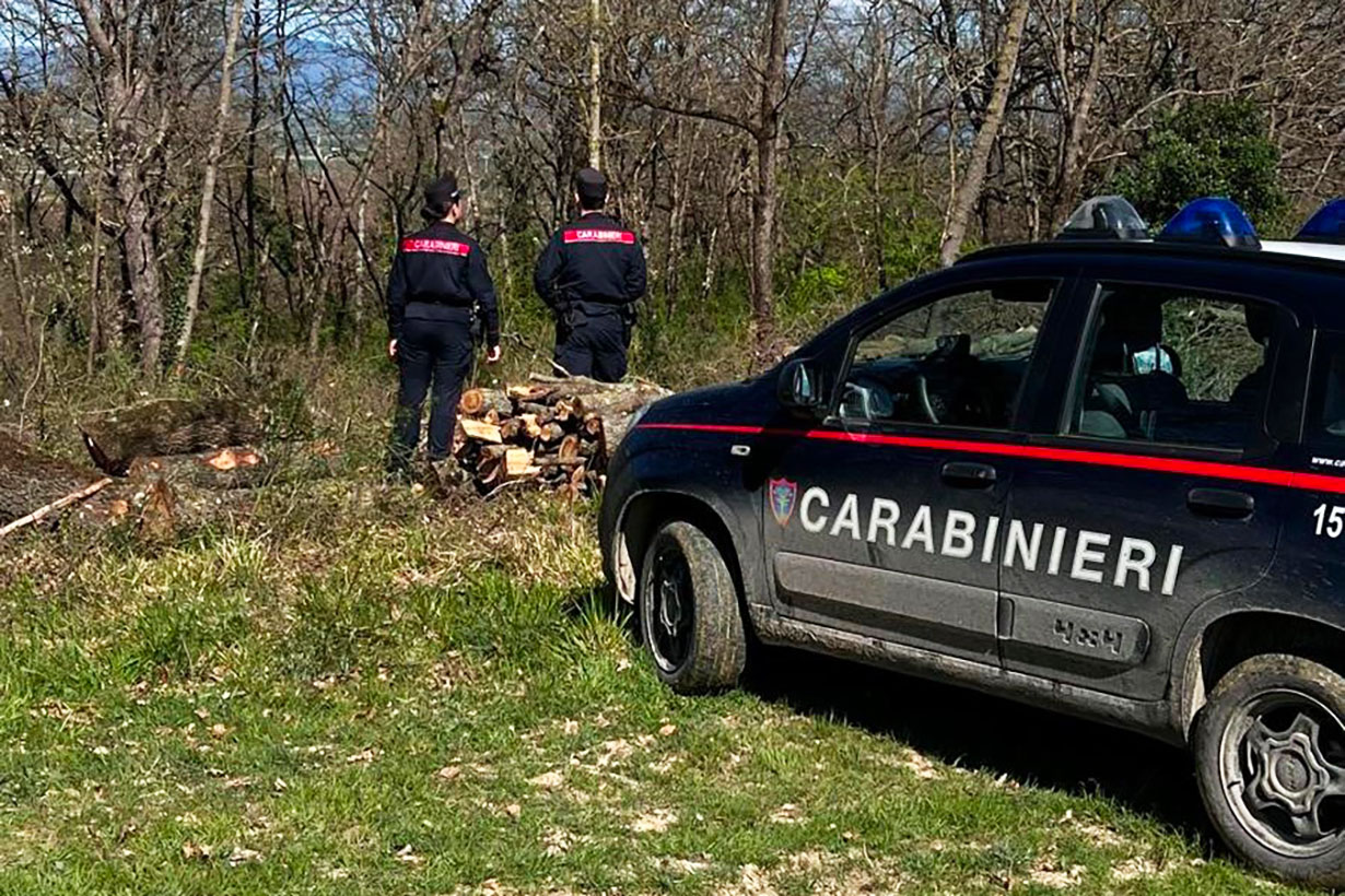 Droga, sequestro hashish per 500 dosi in bosco Piancastagnaio