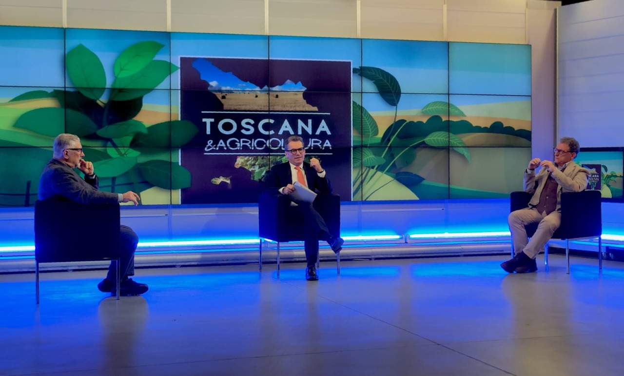 Olivicoltura, un mondo da salvaguardare