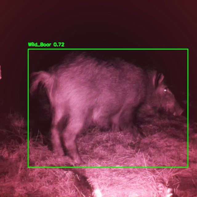 5G e Intelligenza Artificiale per il monitoraggio della fauna selvatica nel Parco di San Rossore