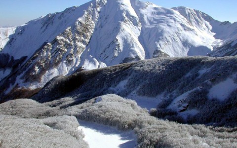 Farmacista di Massa cade in dirupo e muore davanti ai familiari