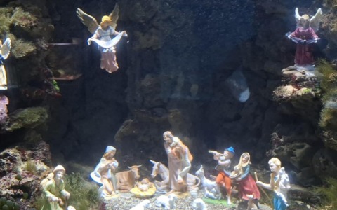 L’Acquario Mediterraneo dell’Argentario riapre le porte al presepe subacqueo per le festività