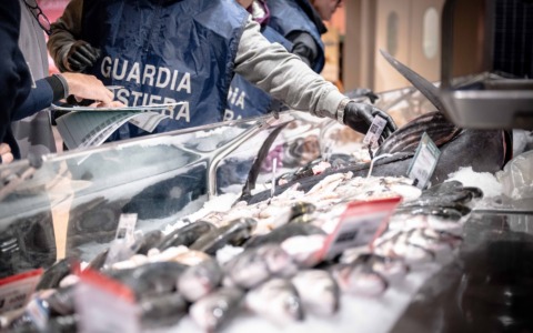Controlli sul pescato di Natale, sanzionato un importatore all’ingrosso in Lucchesia