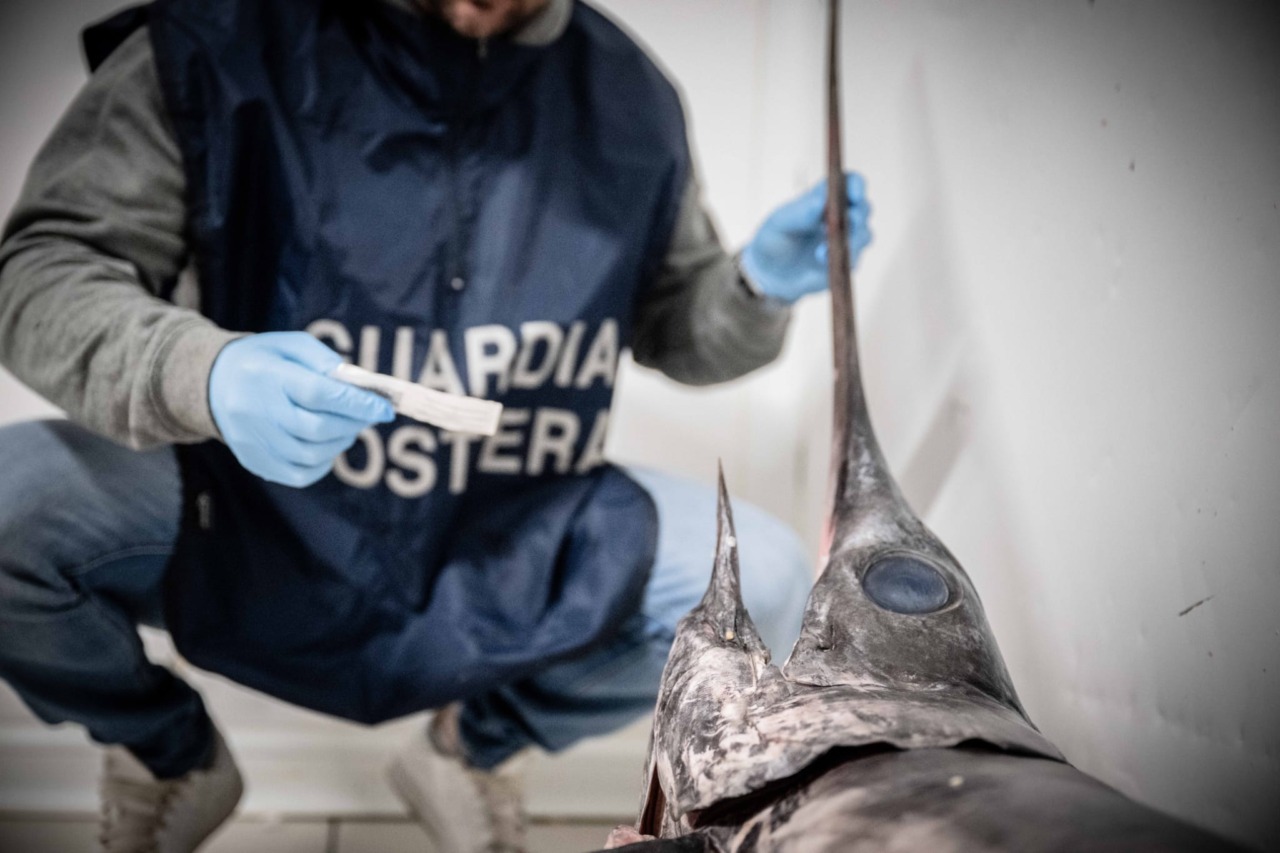 30 kg di pescato non conforme, i controlli del cenone di Capodanno