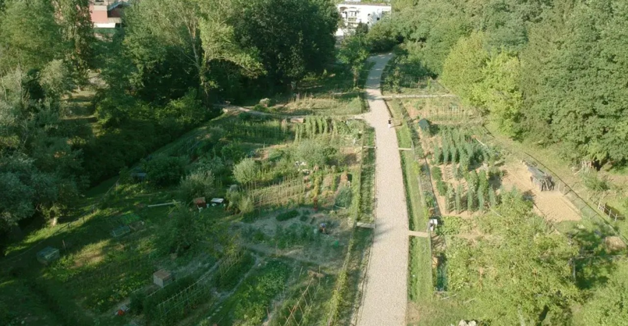 Siena: aperto l’avviso per l’assegnazione degli orti urbani San Miniato