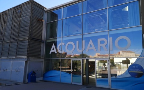 Livorno celebra le festività all’Acquario con un calendario ricco di appuntamenti