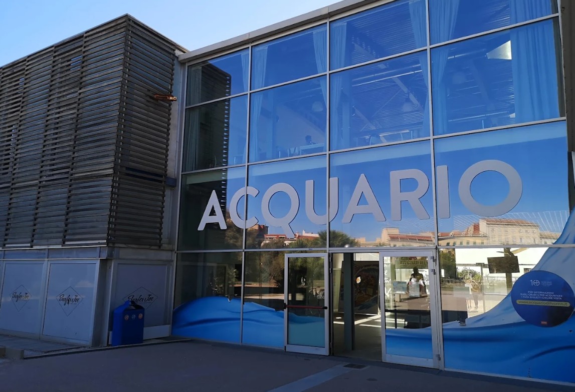 Livorno celebra le festività all’Acquario con un calendario ricco di appuntamenti