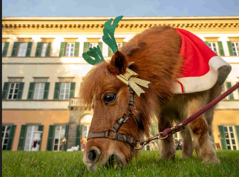 Agenda del week-end, gli appuntamenti del fine settimana