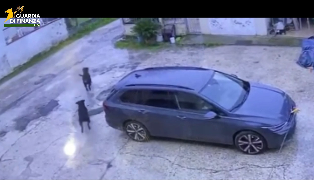 Bambina aggredita da tre Rottweiler a Cascina: salvata da finanziere libero da servizio