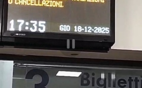 Treno investe un gregge di pecore sui binari