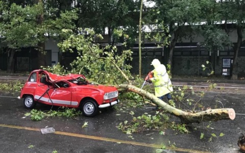 Tragedia sfiorata per un ramo caduto su un’auto, il Comune condannato a risarcire