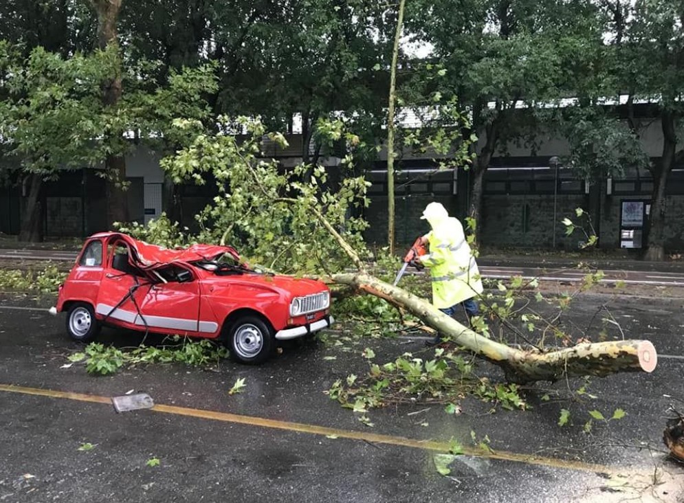 Tragedia sfiorata per un ramo caduto su un’auto, il Comune condannato a risarcire