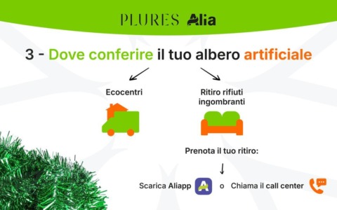 Finiscono le feste, ecco come smaltire correttamente gli alberi di Natale