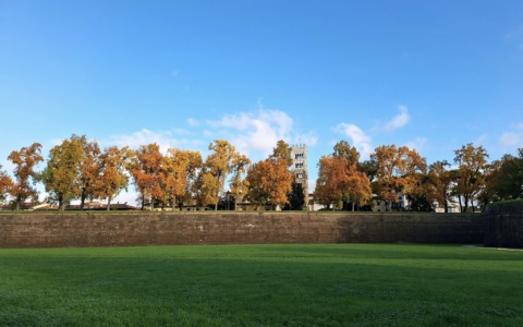 Piano di riqualificazione delle mura di Lucca: i progressi del comitato scientifico