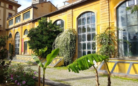 I fiori di ghiaccio al Giardino dei Semplici di Firenze: lo spettacolo della Verbesina Virginica