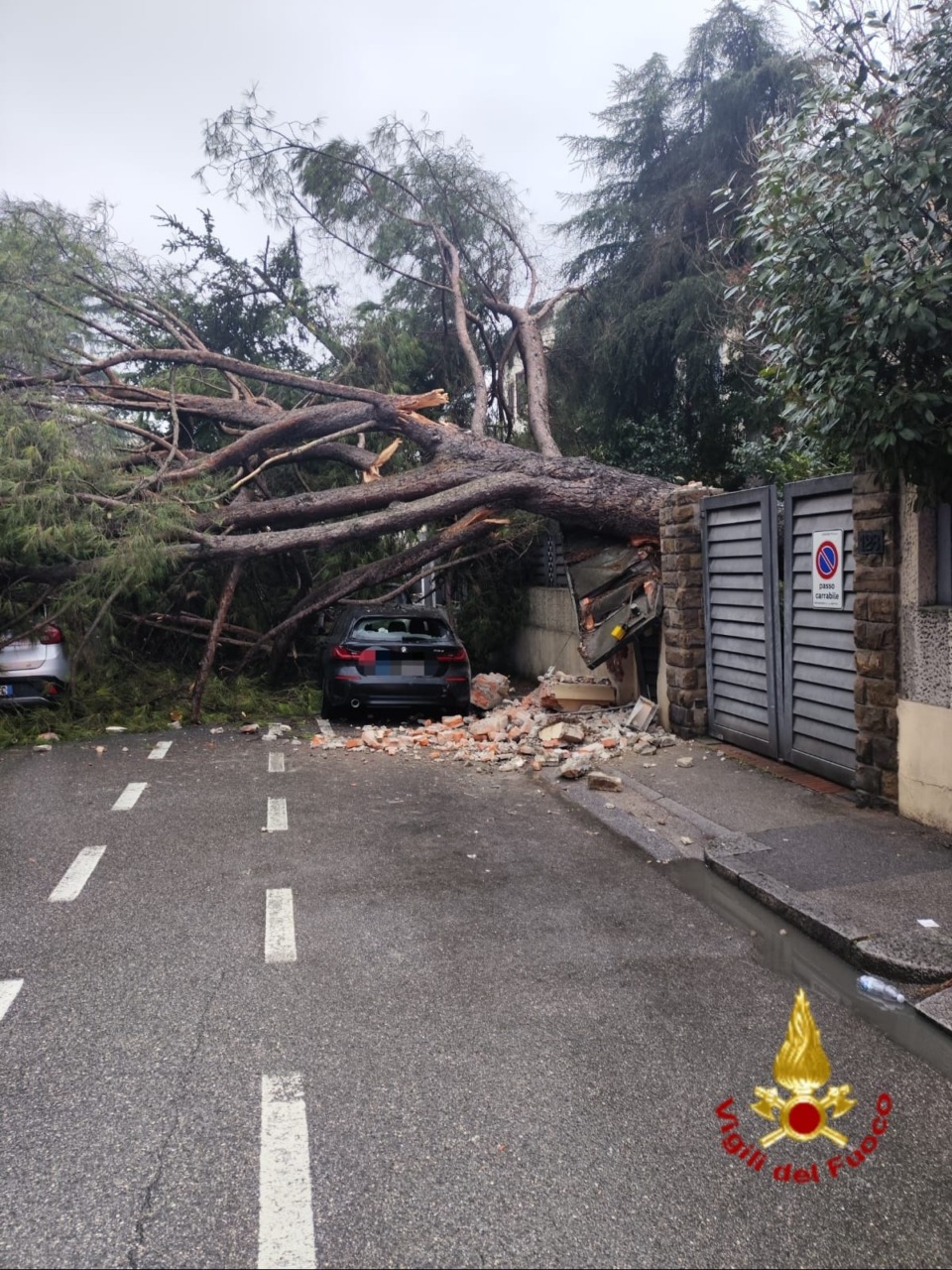 Prato, albero crolla in strada: tragedia sfiorata