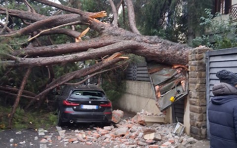 La sicurezza degli alberi: il Comune intensifica i controlli e invita i privati alla collaborazione