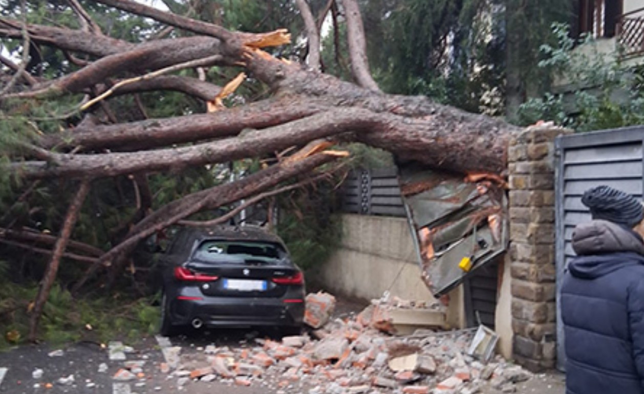 La sicurezza degli alberi: il Comune intensifica i controlli e invita i privati alla collaborazione