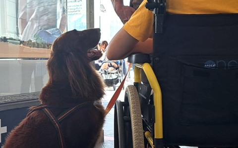 Firenze: l’ultimo saluto a Kia, il cane che aiutava i bambini malati