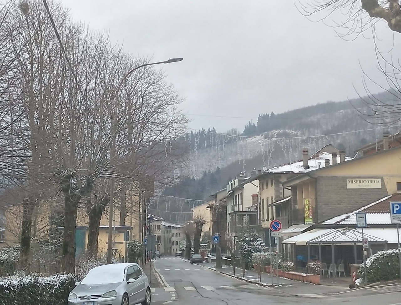 Uccisa la madre con 50 coltellate: chiesa l’assoluzione con misura di sicurezza