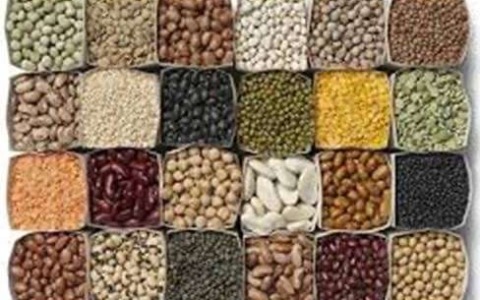Agricoltura, leguminose da granella, filiera strategica