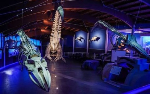 Caccia al tesoro della Befana al museo del Mediterraneo