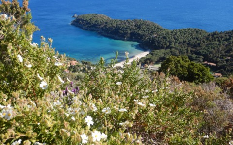In cammino tra profumi e paesaggi dell’Isola d’Elba