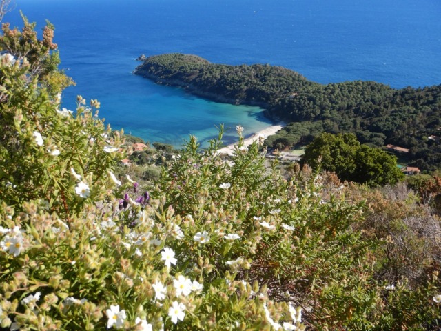 In cammino tra profumi e paesaggi dell’Isola d’Elba