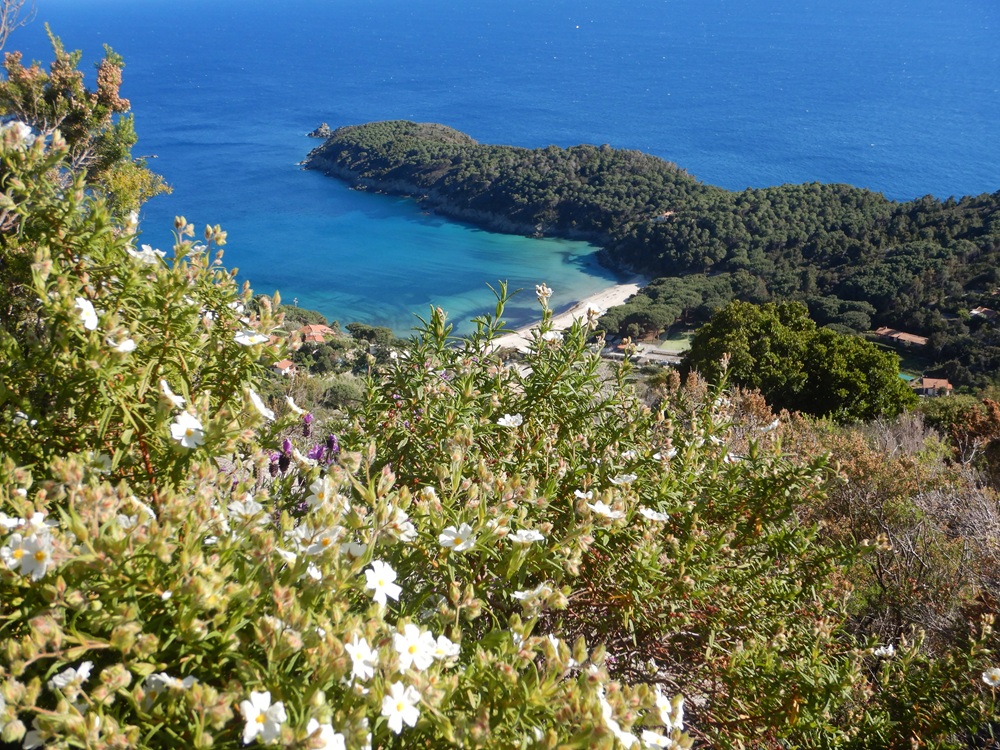 In cammino tra profumi e paesaggi dell’Isola d’Elba