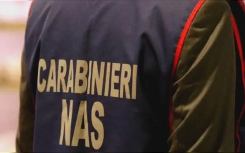 Livorno, cento chili di pesce sequestrati in un ristorante di sushi