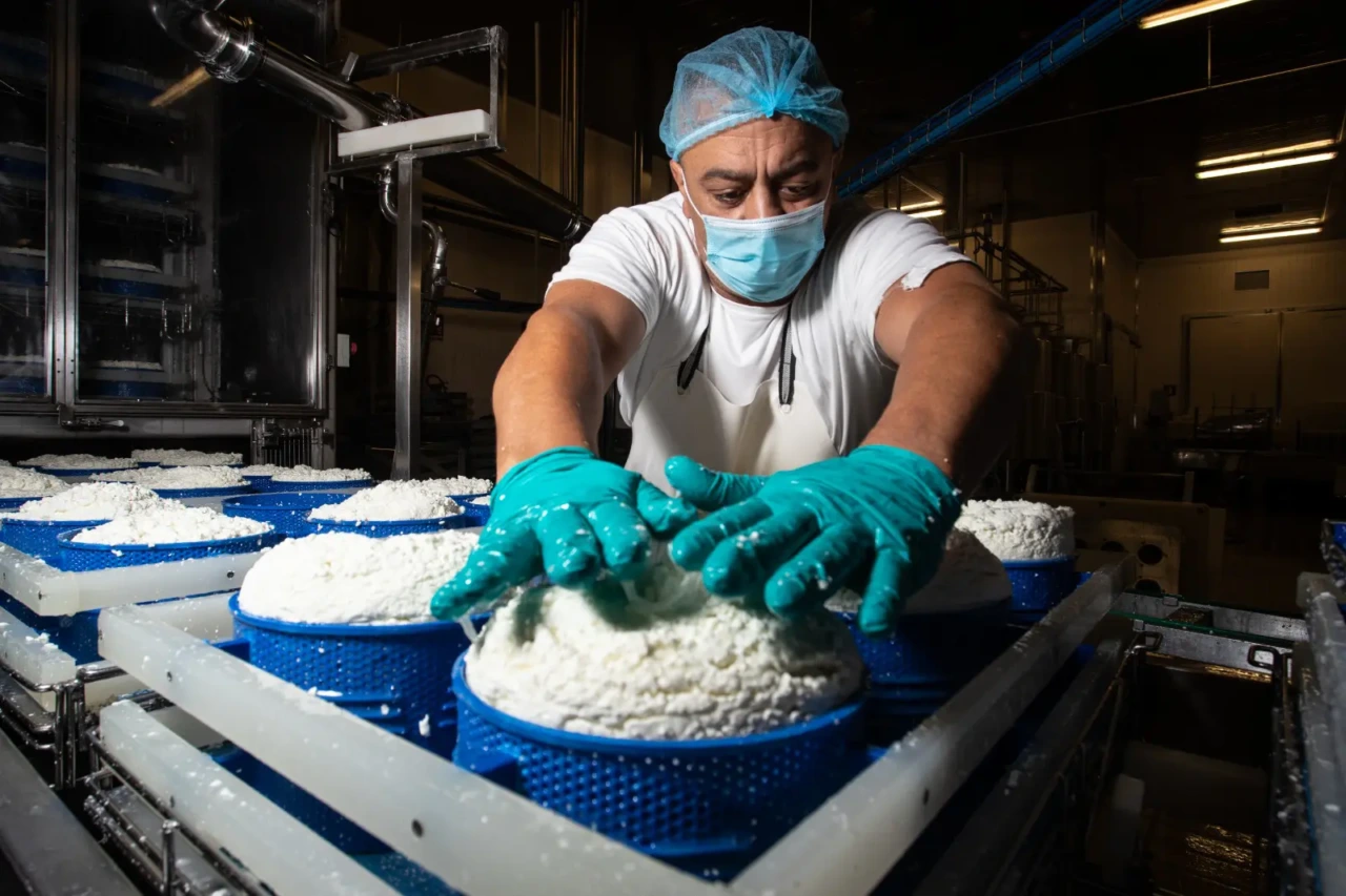 Firenze, Forteto: acqua abusiva utilizzata per il caseificio della cooperativa