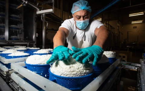 Firenze, Forteto: acqua abusiva utilizzata per il caseificio della cooperativa