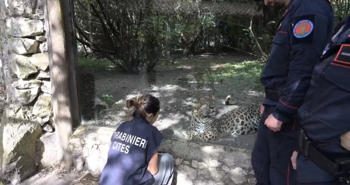 Toscana, il grande impegno della Forestale a difesa dell’ambiente
