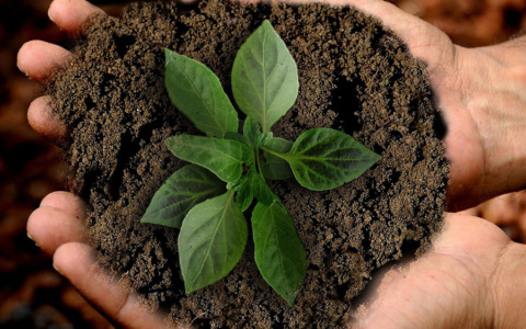 Green Jobs in Italia: crescono le assunzioni, ma aumenta la precarietà