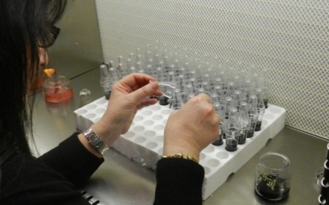 Giornata internazionale delle donne nella scienza: premio “Sara Magrini” al Museo di Grosseto