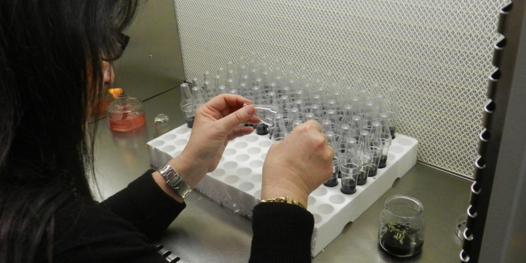 Giornata internazionale delle donne nella scienza: premio “Sara Magrini” al Museo di Grosseto