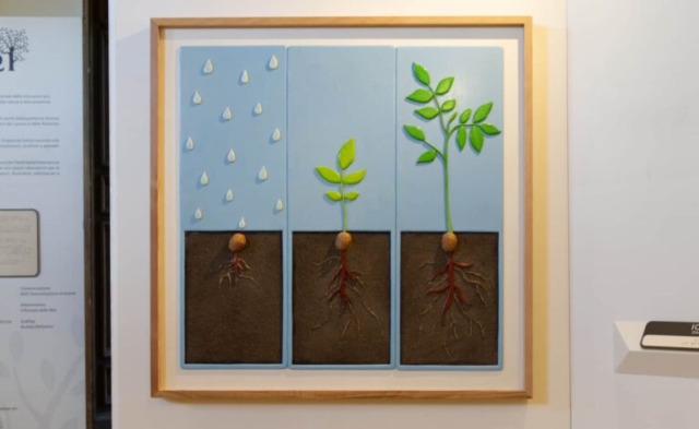Storie sulle dita: alberi. A Palazzo Chigi mostra tattile e multisensoriale accessibile ai non vedenti