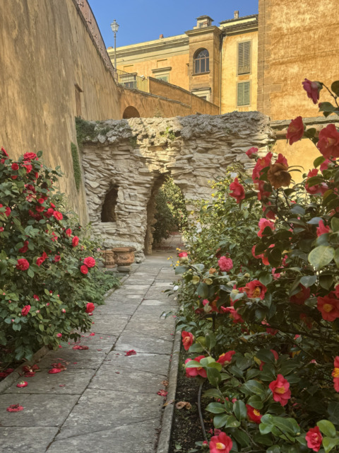 Boboli, apre il giardino delle camelie