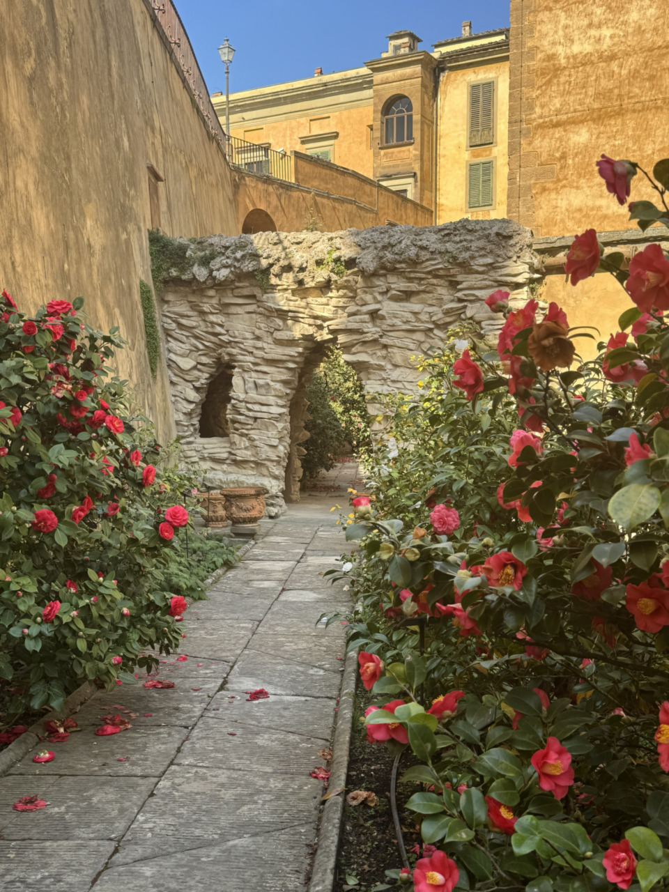 Boboli, apre il giardino delle camelie